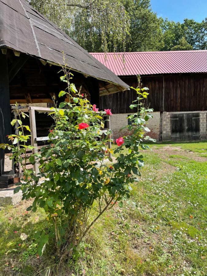 Appartamento Schellnhof Forsthaus Am Waldrand Nidda Esterno foto